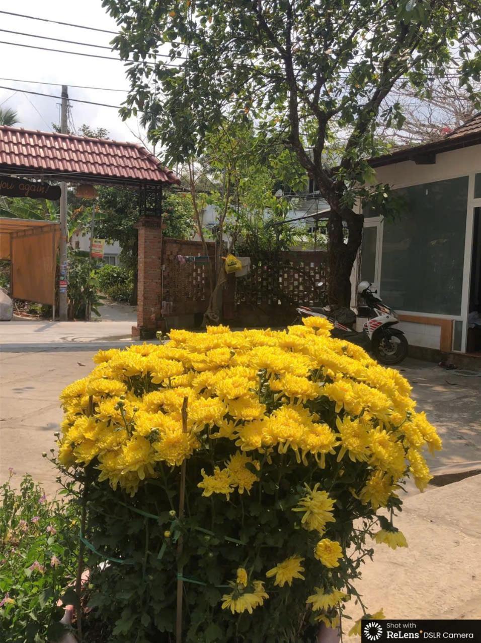 Gecko House Hotel Phu Quoc Bagian luar foto